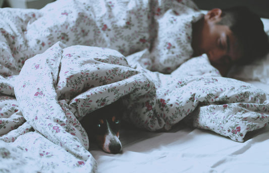 Nootropics for Optimizing Sleep and Restfulness